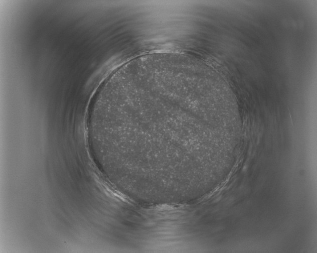 X0000066530290200604141847