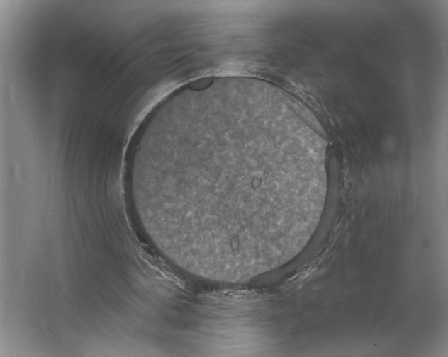 X0000066530292200604141847