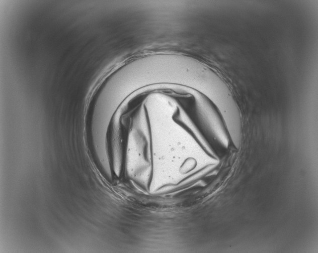 X0000066530293200604141847