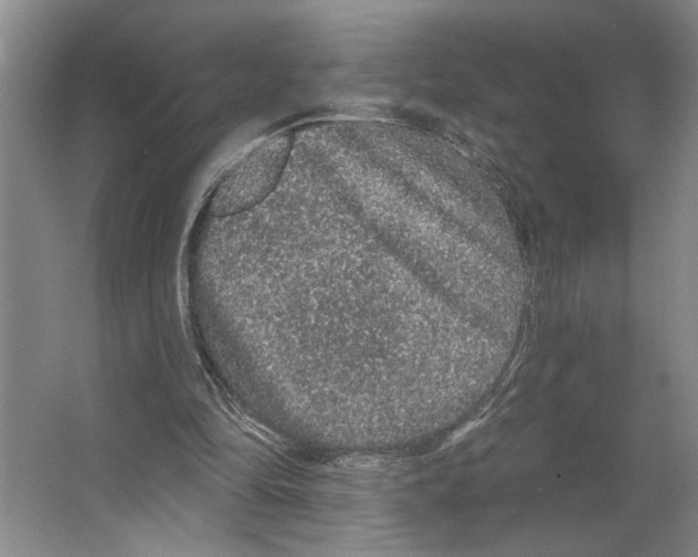 X0000066530294200604141847