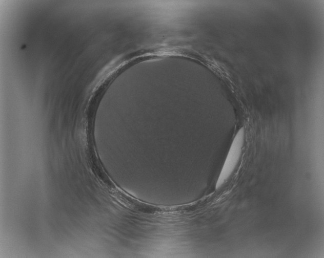 X0000066530295200604141847