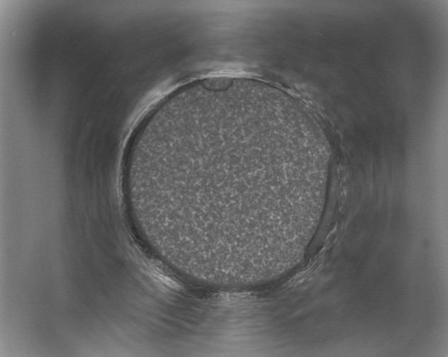 X0000066530296200604141847