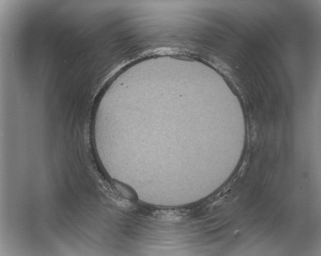 X0000066530297200604141847