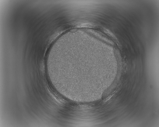 X0000066530298200604141847