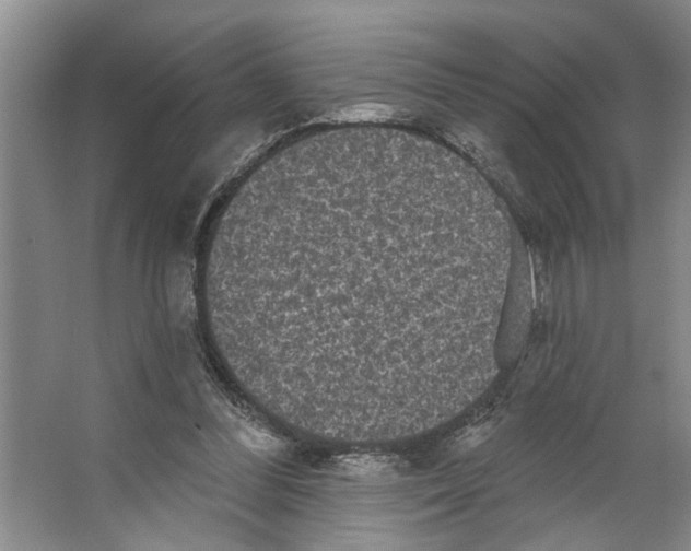 X0000066530300200604141847