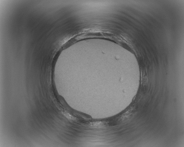 X0000066530301200604141847