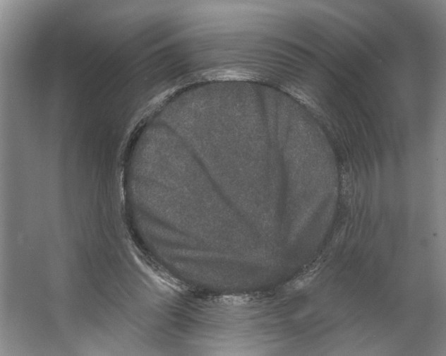 X0000066530302200604141846