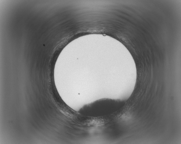 X0000066530303200604141846