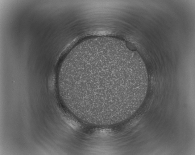 X0000066530304200604141846