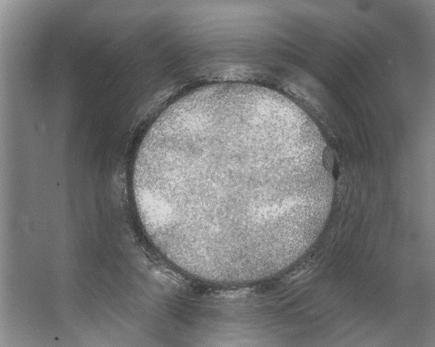 X0000066530306200604141846