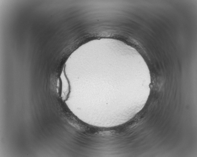 X0000066530307200604141846