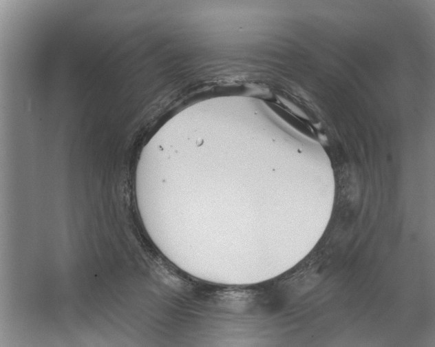 X0000066530313200604141846