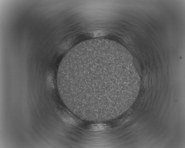 X0000066530316200604141846