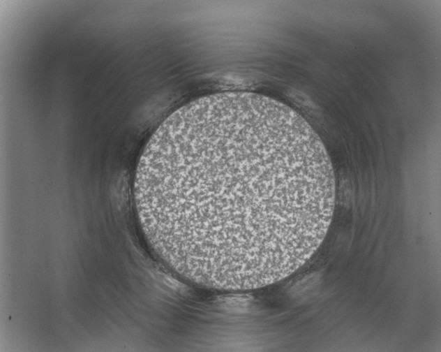 X0000066530318200604141846