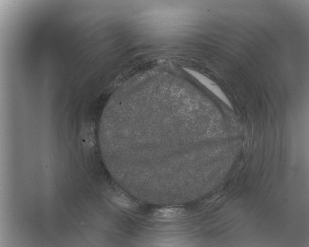 X0000066530323200604141846