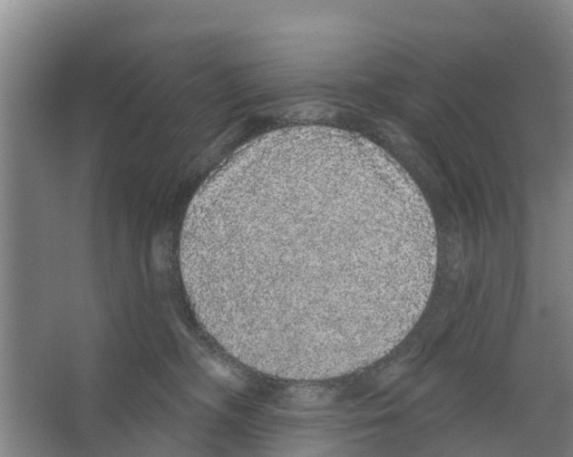 X0000066530326200604141846