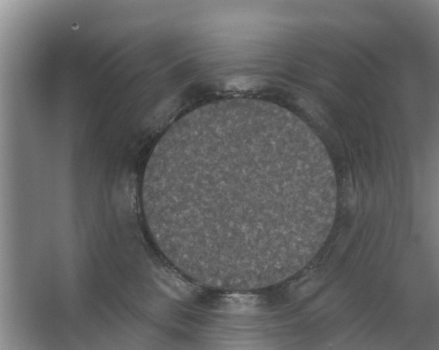 X0000066530328200604141846