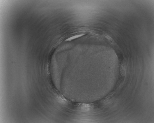 X0000066530330200604141846