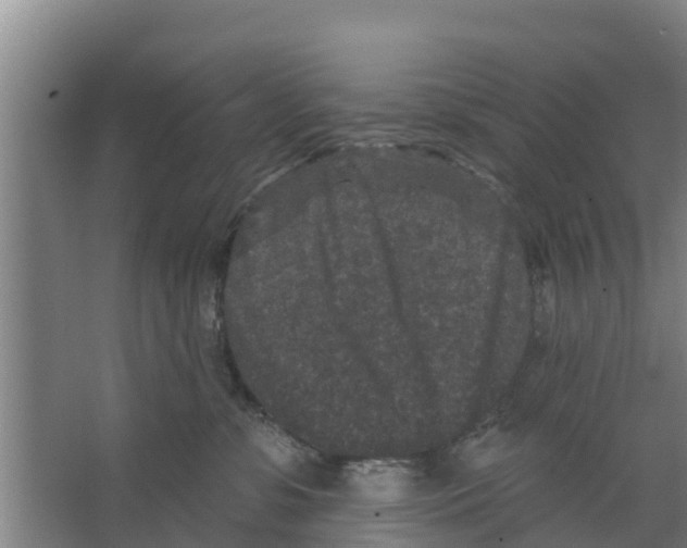 X0000066530331200604141846