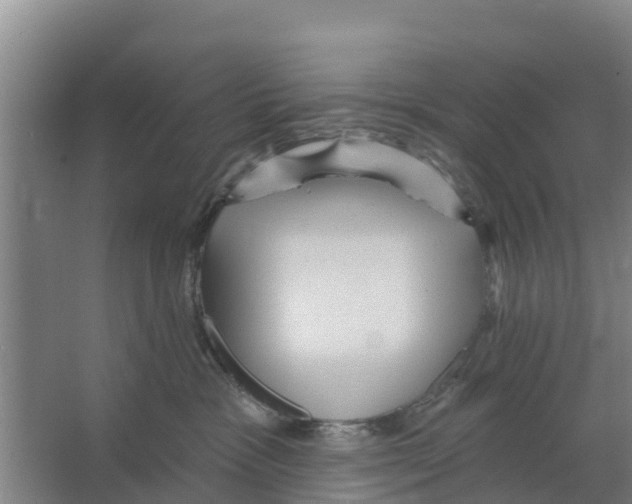 X0000066530333200604141846