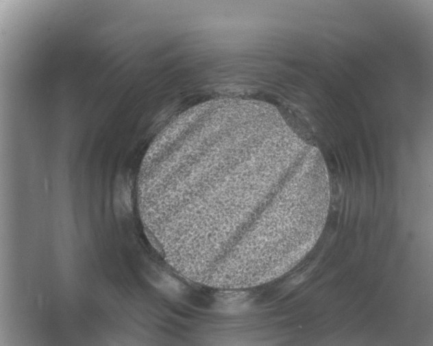 X0000066530334200604141846