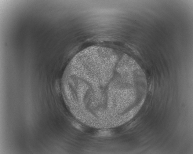 X0000066530335200604141846