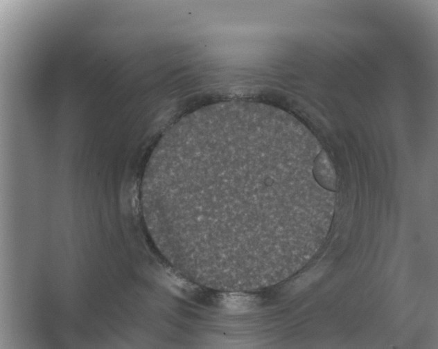 X0000066530336200604141846