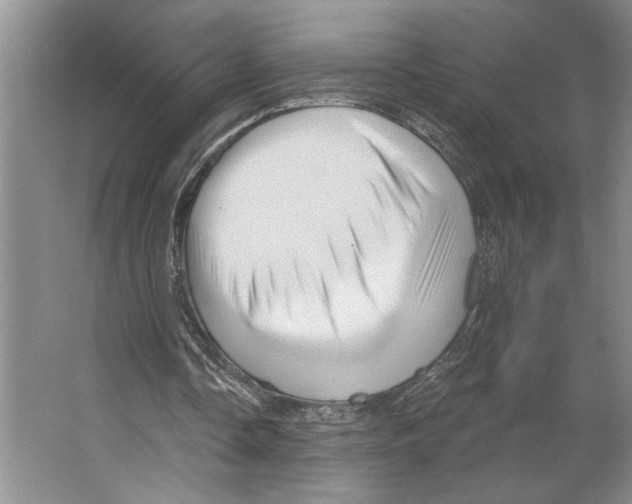 X0000066530338200604141845