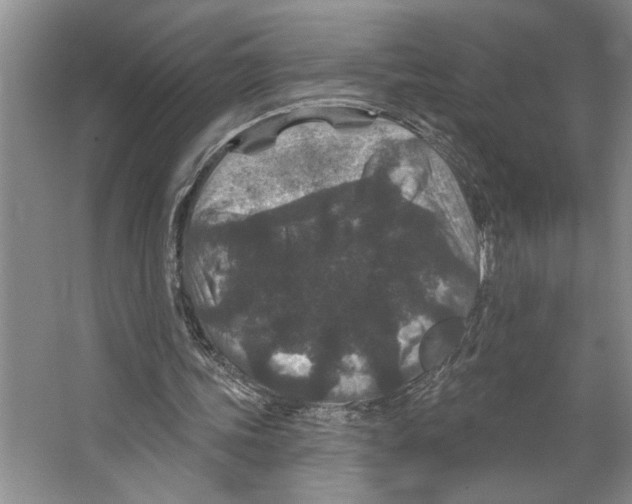 X0000066530339200604141845