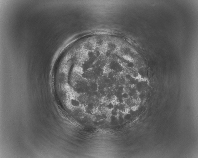 X0000066530343200604141845