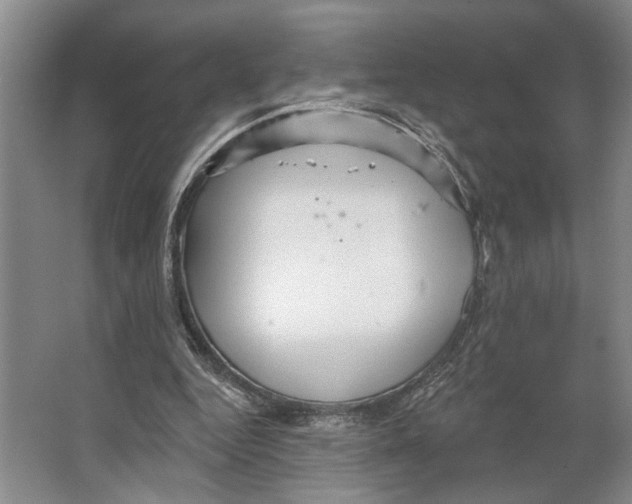 X0000066530344200604141845