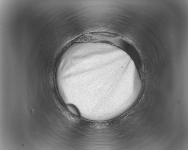 X0000066530345200604141845