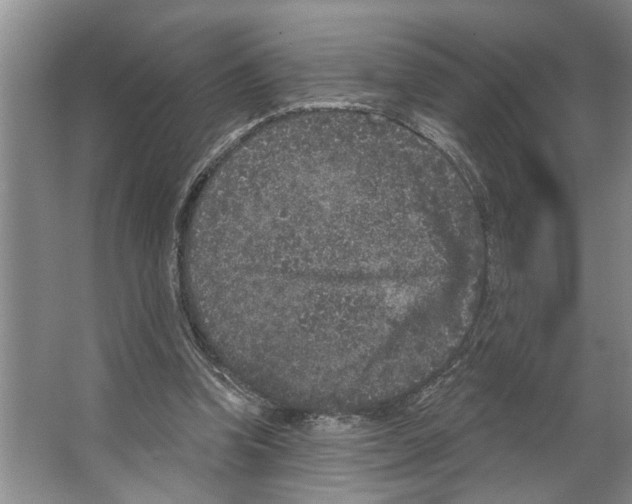 X0000066530346200604141845