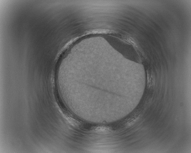 X0000066530348200604141845