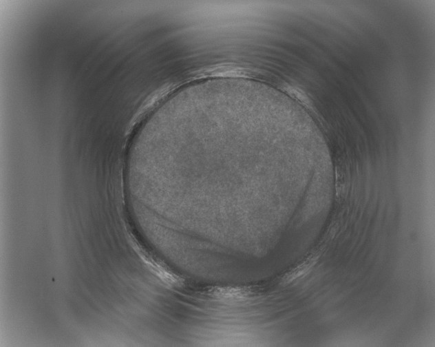 X0000066530349200604141845