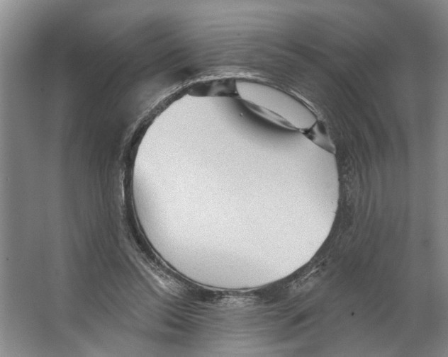 X0000066530350200604141845