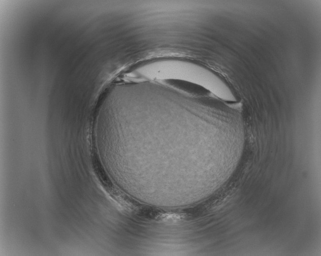 X0000066530352200604141845