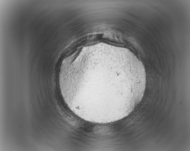 X0000066530354200604141845