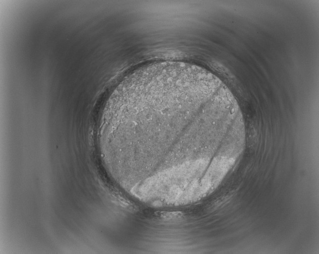 X0000066530355200604141845