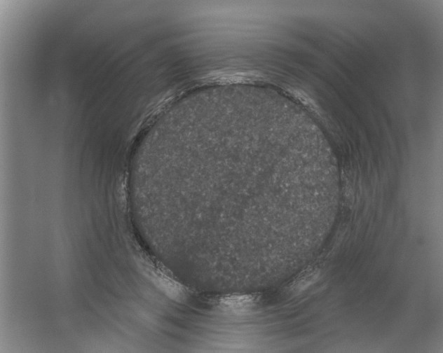 X0000066530357200604141845