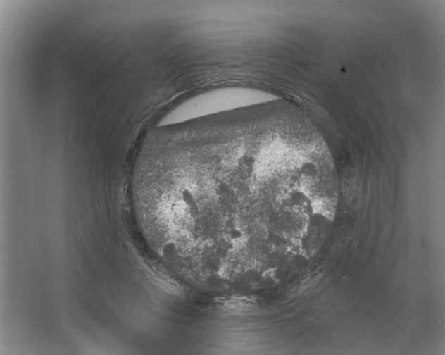 X0000066530359200604141845