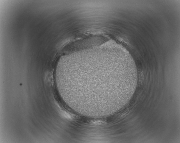 X0000066530360200604141846