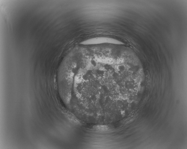 X0000066530361200604141846