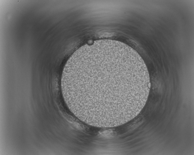 X0000066530362200604141846