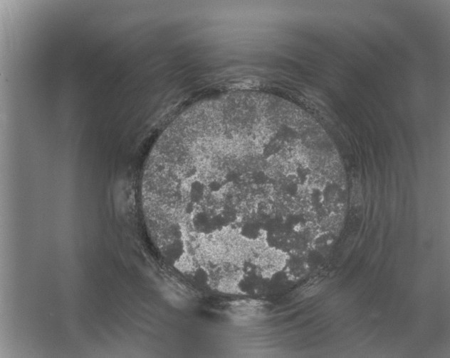 X0000066530363200604141846