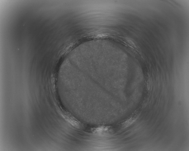 X0000066530366200604141846