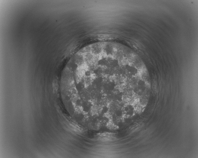 X0000066530367200604141846