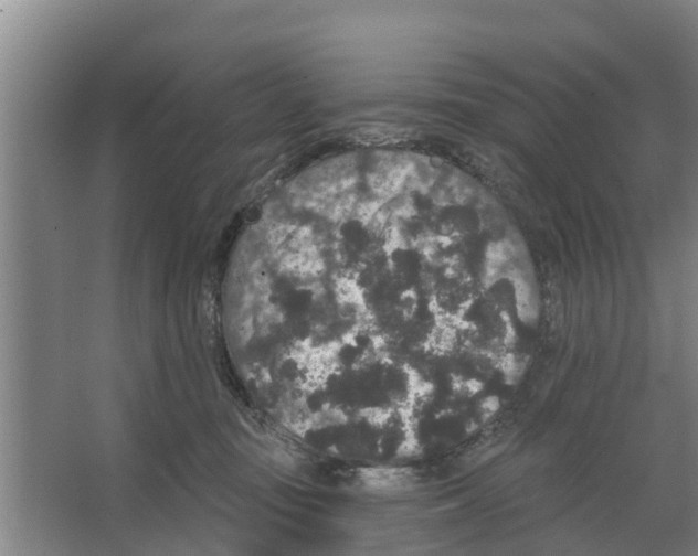 X0000066530371200604141846