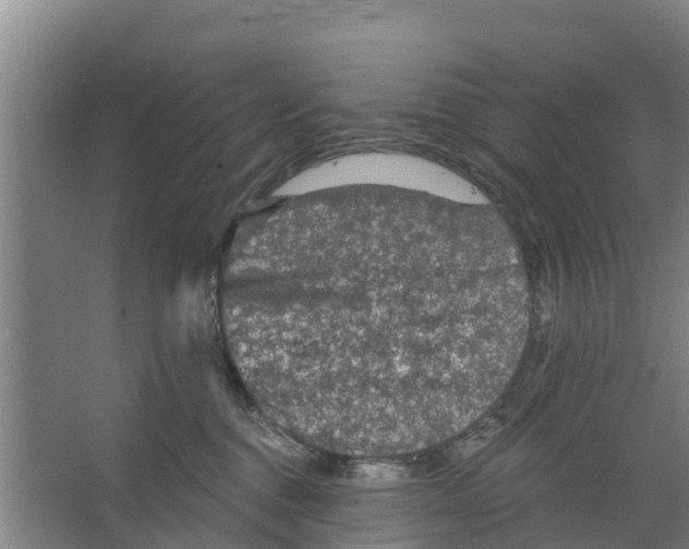 X0000066530376200604141846