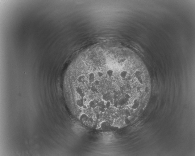 X0000066530377200604141846